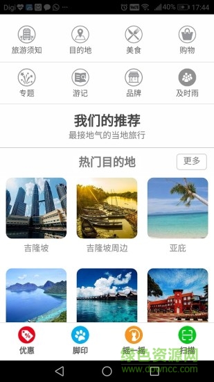 道地貓