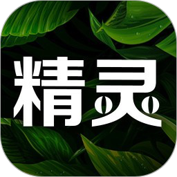 精靈之泉商城