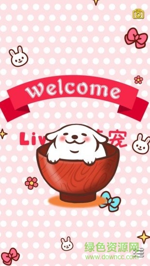 live2D萌寵