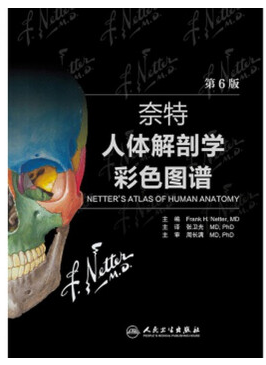 奈特人體解剖學(xué)圖譜電子版
