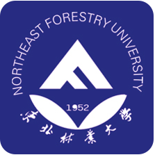 東北林業(yè)大學(xué)數(shù)字東林