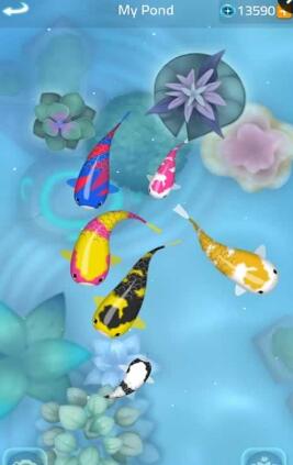 禪宗錦鯉2手機(jī)版(Zen Koi 2) v2.0.5 安卓中文版 0