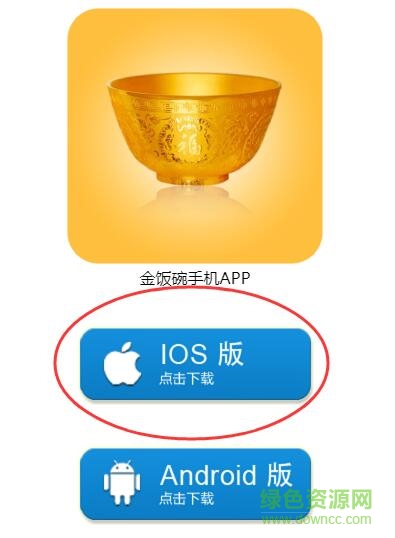 太保金飯碗app蘋果版