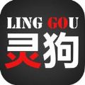 靈狗導(dǎo)航手機(jī)版(靈狗)