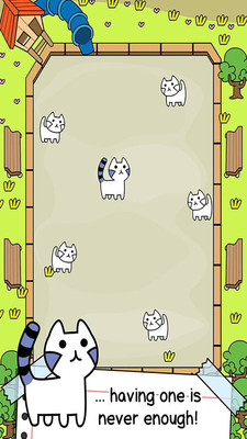 貓咪進(jìn)化漢化 v1.1.0 安卓中文版 2
