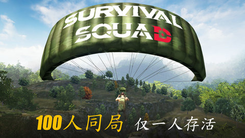 生存小隊(duì)pc版