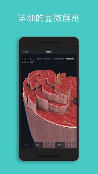 3d4medical中文版下載