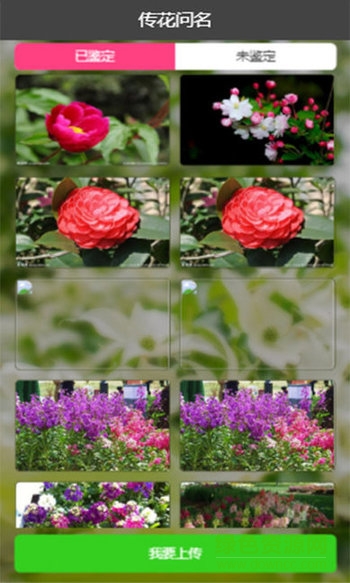 花卉識別軟件 v1.0 安卓版 0