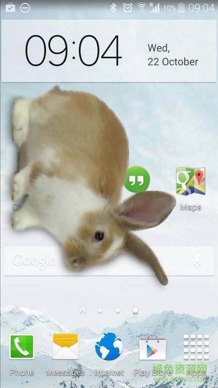手機(jī)屏幕養(yǎng)兔子app(手機(jī)的小兔子玩笑) v1.0.0 安卓版 0