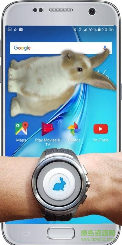 兔子在手機(jī)可愛(ài)的笑話app