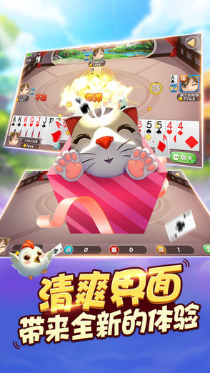 東至貓配app
