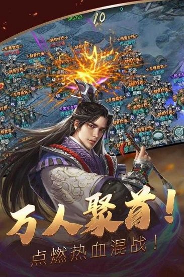 三國(guó)志仁者無(wú)敵果盤(pán)版