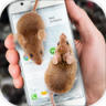 mouse on screen scary Joke app