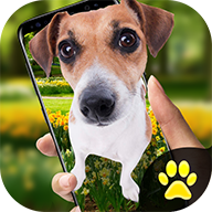 idog狗在屏幕上的app