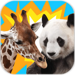 動(dòng)物疊疊樂(lè)app