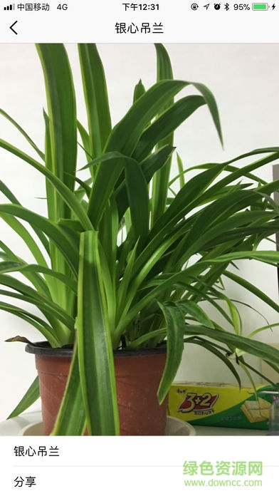 植物識別app(形色)0