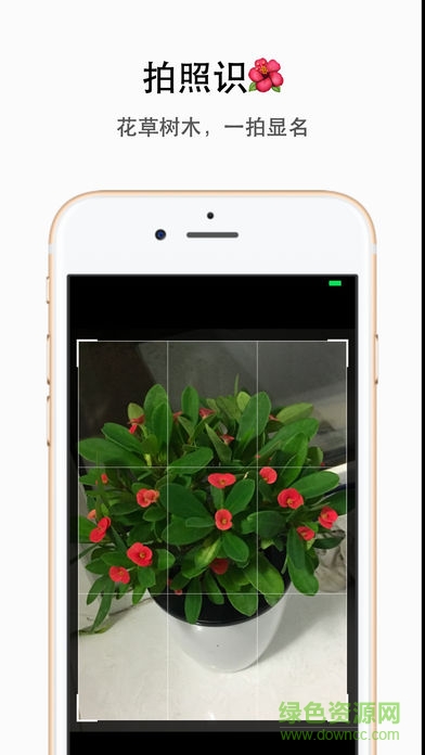 植物識別app(形色)1