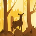wildfulness2白噪音