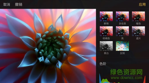 pixelmator pro