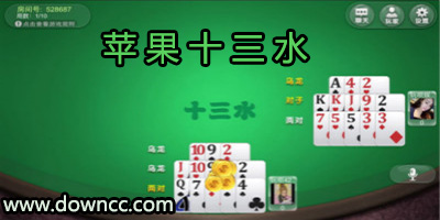 蘋果十三水