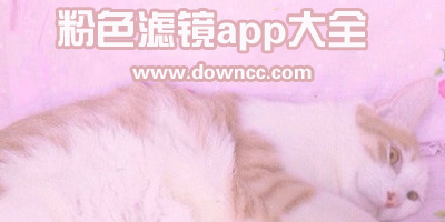 粉色濾鏡app
