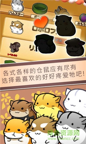 小倉鼠的生活中文版 v3.3.3 安卓版 0