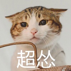 一只貓超慫的表情包