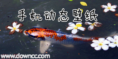 手機(jī)動(dòng)態(tài)壁紙有哪些-安卓3d動(dòng)態(tài)壁紙軟件-手機(jī)動(dòng)態(tài)鎖屏壁紙apk下載