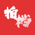 大學(xué)生拍檔手機(jī)版
