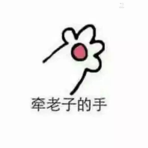 軟件圖標