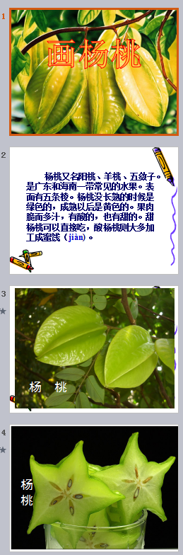 畫(huà)楊桃公開(kāi)課ppt
