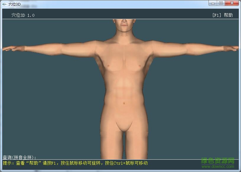 人體穴位3d軟件