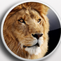 Lion Skin Pack中文版