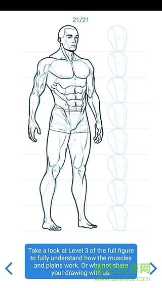 Learn how to draw軟件 v1.31 安卓版 2