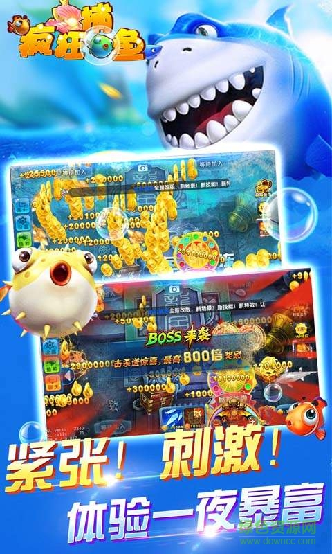 九游版魚丸瘋狂捕魚 v8.0.21.0.0 安卓版 0