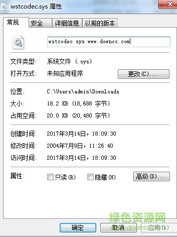 wstcodec.sys