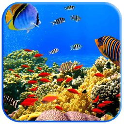 熱帶魚水族箱屏幕保護(hù)程序