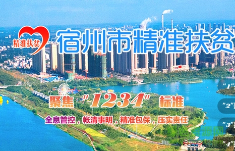 宿州市精準(zhǔn)扶貧信息管理平臺 v1.2.1 安卓版 0
