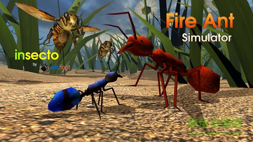 火蟻模擬器最新版(Fire Ant) v3.2 安卓版 0