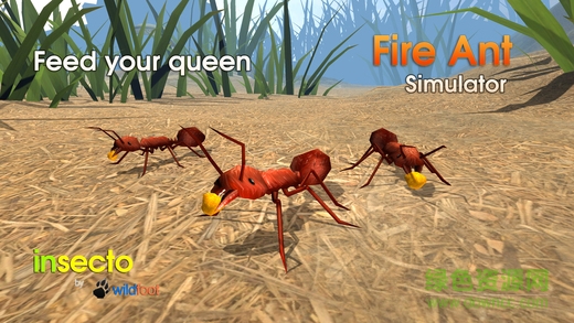 火蟻模擬器最新版(Fire Ant) v3.2 安卓版 3