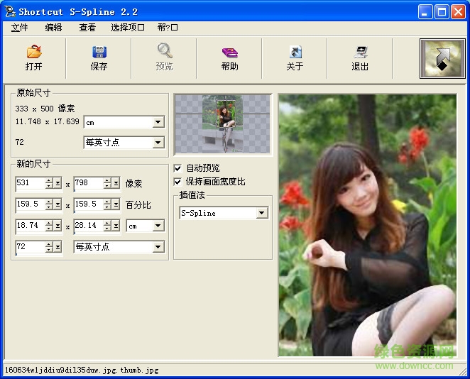 sspline下載