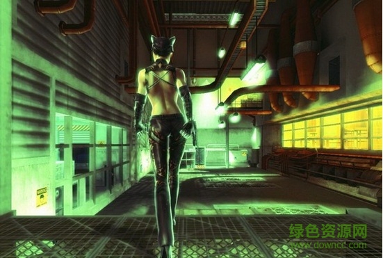貓女單機游戲(Catwoman)  0