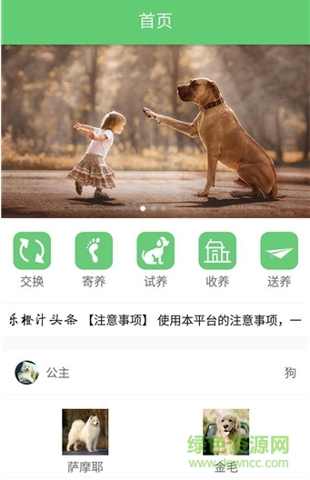 樂(lè)橙汁app下載