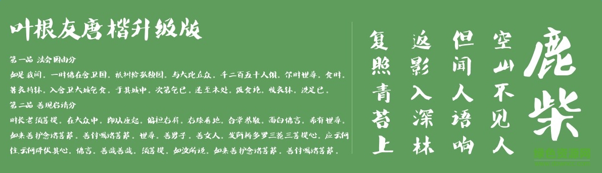 葉根友唐楷升級版  0