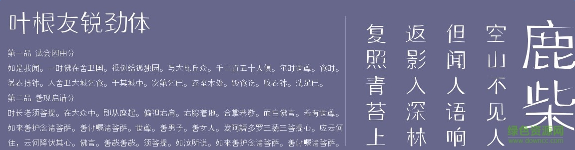 葉根友銳勁體0
