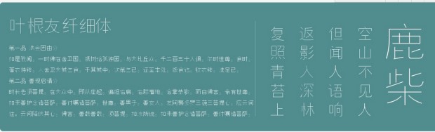 葉根友纖細體  0