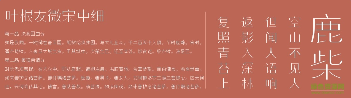 葉根友微宋中細0