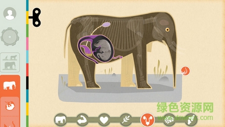 哺乳動(dòng)物Mammals by Tinybop游戲 v1.0.2 安卓版 0