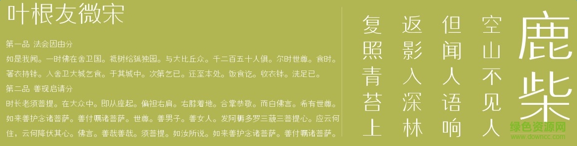 葉根友微宋  0