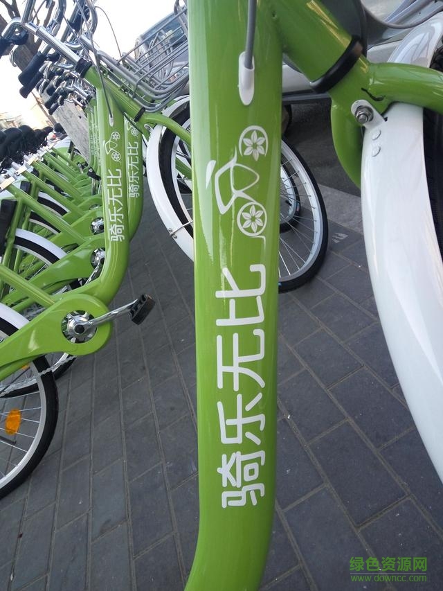 騎樂無比單車